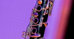 Clarinet These capture the essence of the clarinet, a woodwind instrument with a rich history and a versatile range of