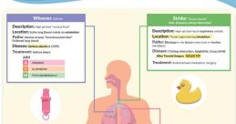 Abnormal lung sounds guide featuring wheezes, stridor, crackles, and treatment options for respiratory issues.