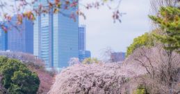 Shinjuku The bustling of Shinjuku Station are a symphony of chaos and order, a cacophony of voices and footsteps