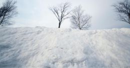 Hard-Snow The of gravel crunching underfoot is the first thing that is noticed when walking on hard snow. Each step results