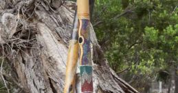 Digeridoo The captivating of the didgeridoo echoed through the forest, a deep and mesmerizing tone that seemed to vibrate