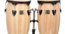 Congas The first that we have related to the subject of Congas is a "Polynesian Rhythm". This rhythmic pattern is played on