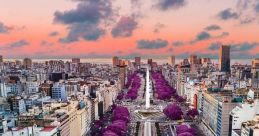 Aires Recoleta #aires #buenos #francia #harp #ian The enchanting of a harp fills the air in Recoleta, Buenos Aires. The