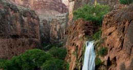 Arizona Step into the mesmerizing world of Arizona with the of Oak Creek gently trickling through the forest. The