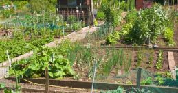 Allotment The of an allotment are a unique symphony of nature and human activity coming together in a harmonious cacophony.