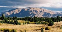 Plains The soft whisper of the wind blowing through the plains creates a soothing harmony in the natural world. Each