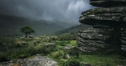 Dartmoor The first that fills the air on Dartmoor is the gentle clip-clop of hooves as a wild pony moves gracefully through