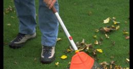 Raking The gentle whoosh of leaves being raked on grass filled the air, creating a soothing symphony of nature's . The of