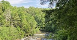 Tennessee Nestled in the heart of Tennessee, surrounded by the rolling hills and lush greenery, there is a magical