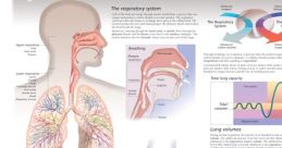 Respiration Play and download these here: Male Heavy Breathing, Respiration, Sneeze. The of Male Heavy Breathing in a