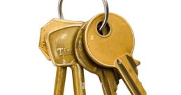 Bunch-Of-Keys The jingling of keys is a that is familiar to most people. Whether it be the keys to your home, your car,