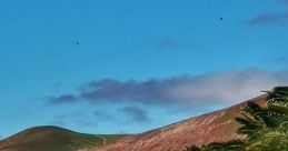 Canarias If you wander through the picturesque landscapes of the Canary Islands, you may come across a goat farm in