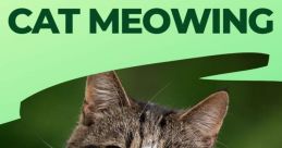 Meows Imagine walking into a room and being greeted by the soft, melodic of a cat's meow. The fills the room, creating a