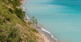 Shoreline If you close your eyes and listen closely, the of Dead Horse Bay Collage come alive. The mixture of rustling