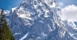 Swiss The crisp morning air in the Swiss forest is accompanied by the gentle of snow falling from the trees. The soft