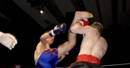 Block-Kick The first , described as "Block (1)", captures the essence of a powerful block kick in combat. As the fighter