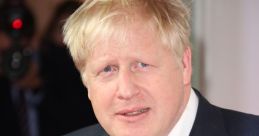 Boris Johnson (Public Figure) Type your text and hear it in the voice of Boris Johnson (Public Figure).