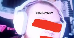 StanleyMOV (Public Figure) Type your text and hear it in the voice of StanleyMOV (Public Figure).