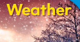 Weather Library The Weather Library is a treasure trove of audio gems that transport you to different meteorological