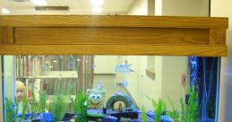 Fish tank Library The underwater world of a fish tank is a symphony of , each contributing to the overall ambiance of the