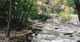 Babbling brook Library The Babbling Brook S Library is a treasure trove of soothing that can transport you to the