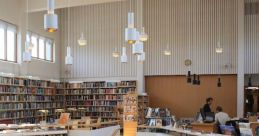 Iceland Library The first that fills the air at Iceland's Library is the cheerful cackling of gulls. Their laughter