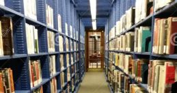 INT Library The interior ambience of the library is heightened by the winter season, creating a serene atmosphere in the