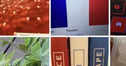 Colorful collage featuring French flag, learning materials, plants, and home details, highlighting culture and lifestyle in France.