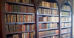 Basement Library These basement are a symphony of eerie and mechanical noises, creating an unsettling atmosphere that