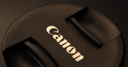 Lens Cap Library The Lens Cap's Library is a treasure trove of that evoke nostalgia and creativity for photography