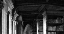 Creepy Library The St Metal Sc**** Very High Slow sent chills down my spine as I entered the dimly lit library. The slow,