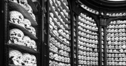 Skull Library The Skull S Library is a treasure trove of eerie and bone-chilling that will send shivers down your spine.