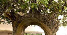 Tree Library The ambiance of the Tree's Library is filled with a symphony of unique that evoke the essence of nature. The