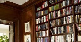 Couch Library The that fill the space of Couch's Library are a symphony of comfort and relaxation. The gentle creak of a