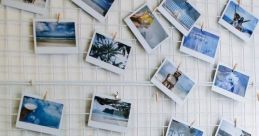 Polaroid Library The Polaroid S Library is a treasure trove of that evoke a sense of nostalgia and creativity. From the