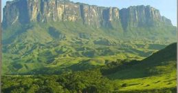 Gran Sabana Library The symphony of nature plays out in the Gran Sabana, Venezuela, as cicadas buzz in unison, creating a