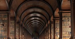 Le mans Library The Le Mans S Library is a treasure trove of automotive that will transport you to the world of