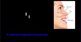 Nasal Library The nasal in Nasal S Library encompass a range of human respiratory actions, from deep inhales to sharp