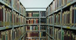 Jail Library The library in the jail is a place where echo and reverberate, creating a unique atmosphere for those