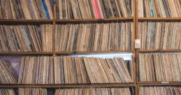 Vinyl Library The of Vinyl S Library are an eclectic mix of nostalgia and creativity, bringing the essence of vintage charm