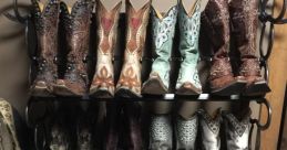 Cowboy boot Library If you were to step into the Cowboy Boot's Library, you would immediately be greeted by the distinctive