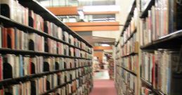 Heaving Library The Heaving's Library was filled with the echoes of various as visitors wandered through the aisles of