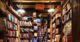 Cozy interior of Shakes Library featuring bookshelves, a vintage chair, and a rustic atmosphere for book lovers.