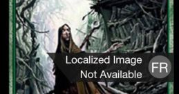 Mage Library These transport you to a magical realm where wizards and monsters collide in epic battles. The Wizard Video