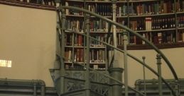 Surprise Library The Surprise S Library is a treasure trove of intriguing that are sure to captivate your senses and