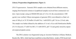 DNA fragmentation process and library preparation protocols for genomic analysis in molecular biology research.