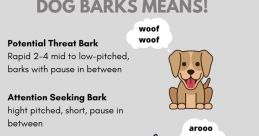 Dog bark Library When you think of the of a dog barking, what comes to mind? Perhaps a loud and persistent bark echoing