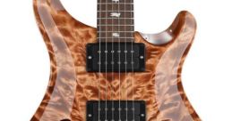 Dry electric guitar Library The Dry Electric Guitar emits a sharp, crisp as it plays the Csus4 chord with precision and