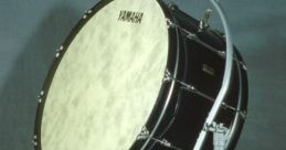 Bass drum Library The in Bass drum S Library offer a diverse range of tones and textures that can add depth and power to