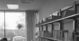 Children browse books in a library, surrounded by shelves filled with colorful materials and natural light streaming in.